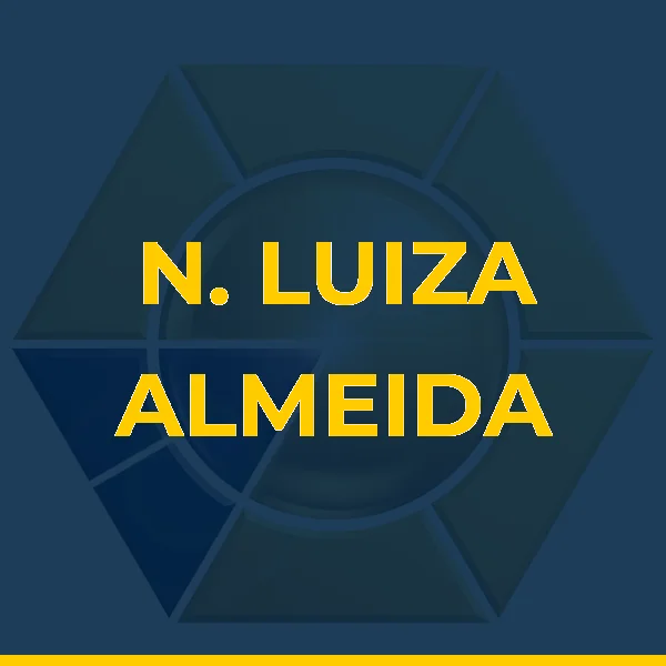 Logo de N. LUIZA ALMEIDA DE MORAES LTDA