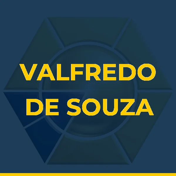 VALFREDO DE SOUZA SERVICOS E GESTAO EMPRESARIAL