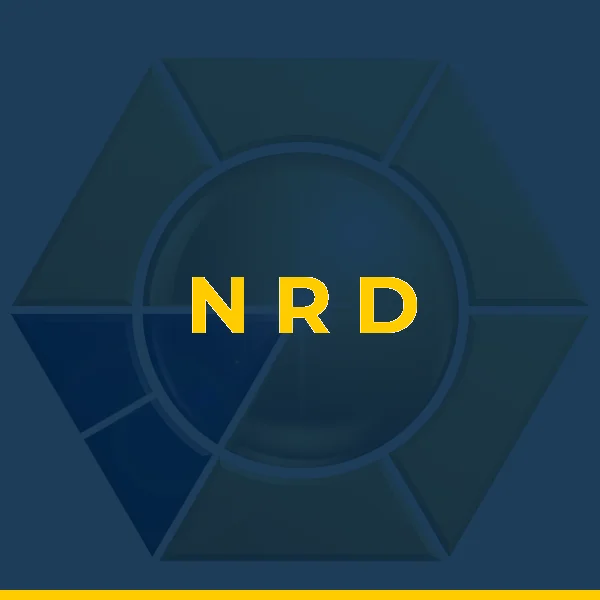 Logo de N. R. D. SERVICOS DE CONSULTORIA E ASSESSORIA LTDA