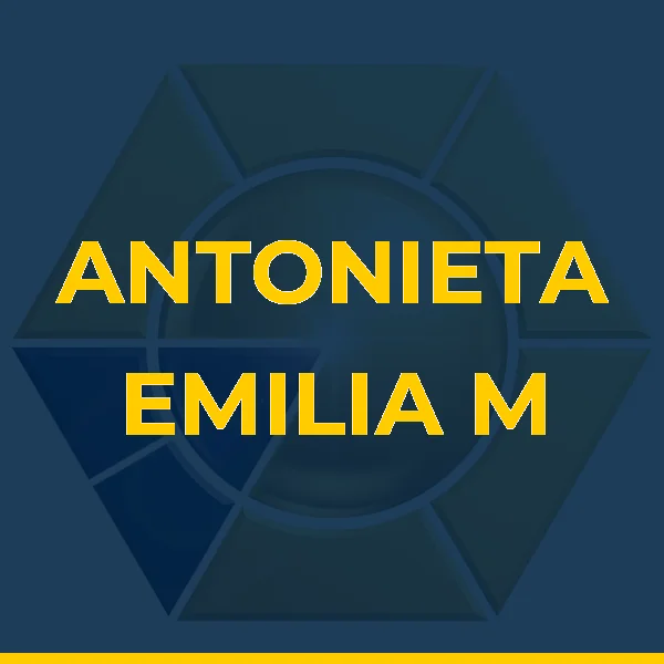 Logo de ANTONIETA EMILIA M A BARBOSA SERVICOS ADMINISTRATIVOS LTDA