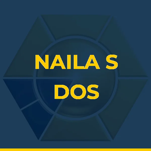 Logo de NAILA S DOS S SILVA SERVICO LTDA