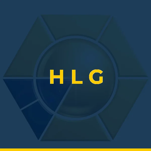 Logo de H L G A P DE MORAIS