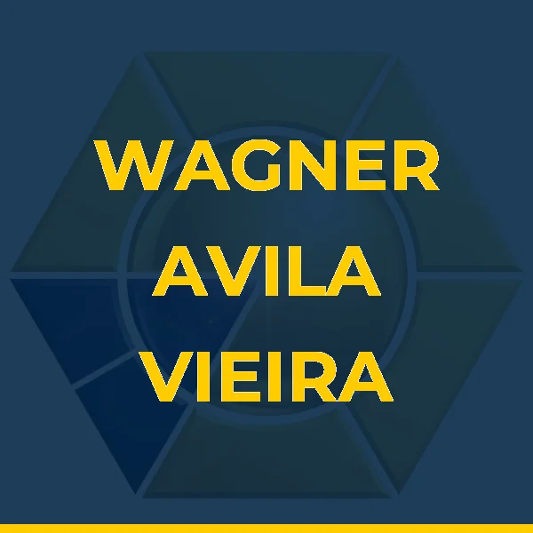 Logo de WAGNER AVILA VIEIRA LTDA