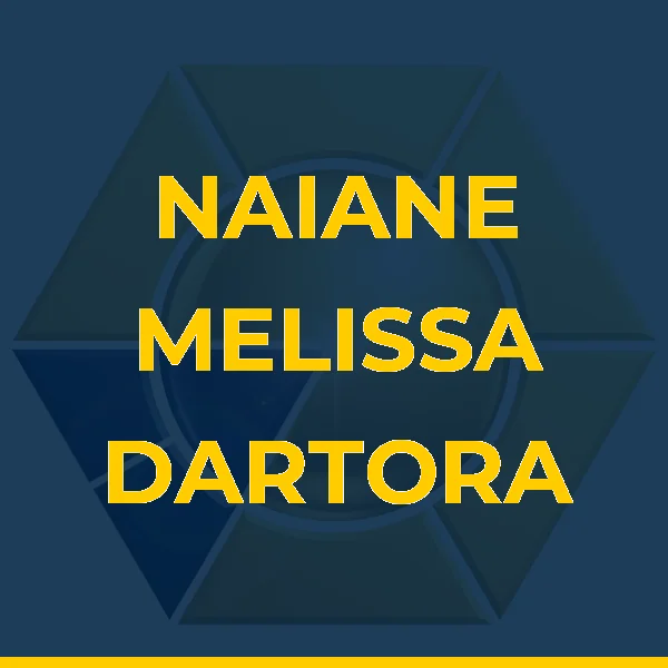 Logo de NAIANE MELISSA DARTORA SANTOS SERVICOS MEDICOS S/S LTDA