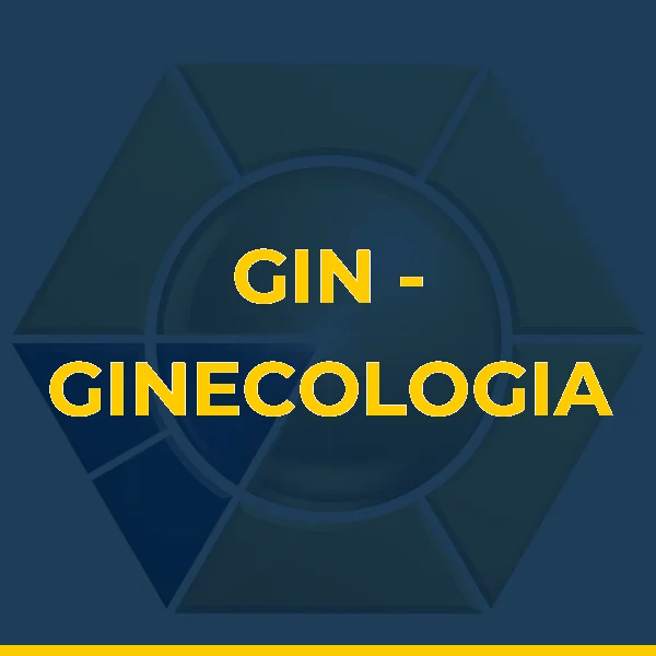 Logo de GIN - GINECOLOGIA INTEGRATIVA & NUTROLOGIA LTDA