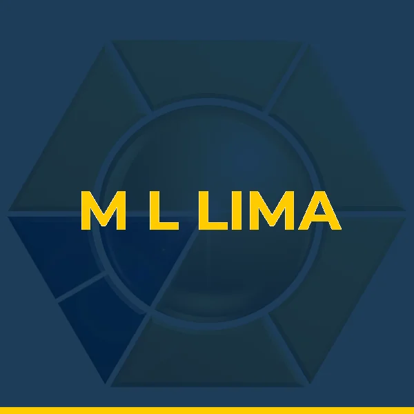 Logo de M L LIMA CORDEIRO DE CASTRO