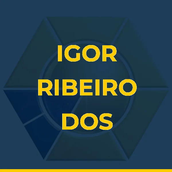 Logo de IGOR RIBEIRO DOS SANTOS