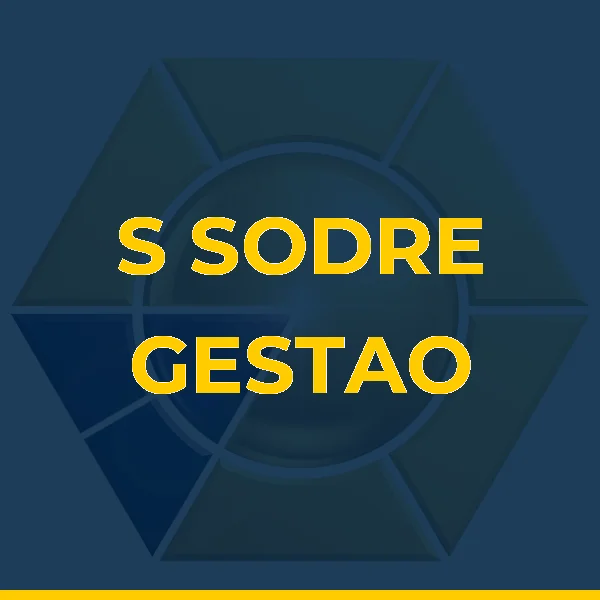 Logo de S SODRE GESTAO CORPORATIVA LTDA