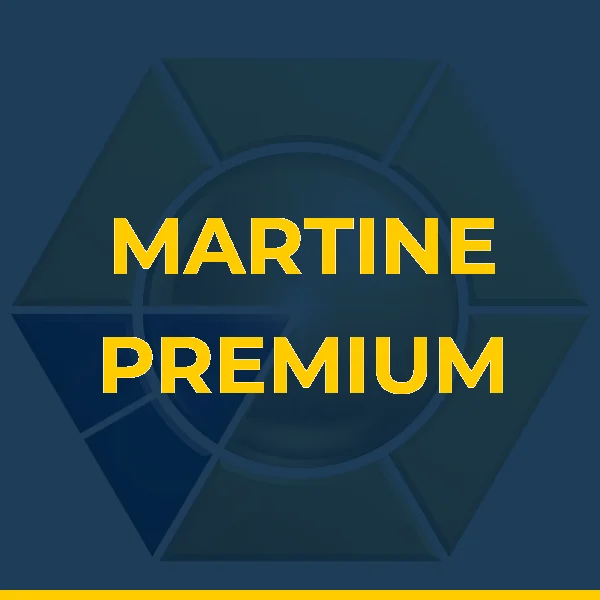 Logo de MARTINE PREMIUM SERVICOS LTDA