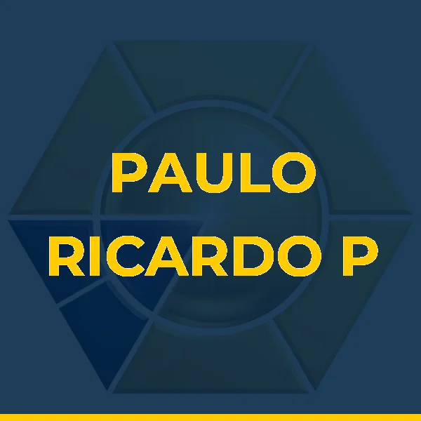 Logo de PAULO RICARDO P DA SILVA  LTDA