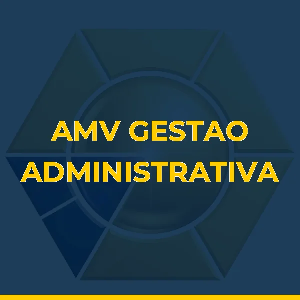 Logo de AMV GESTAO ADMINISTRATIVA LTDA