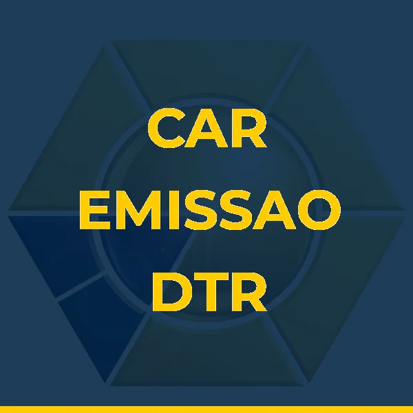 Logo de CAR EMISSAO DTR VEICULAR LTDA