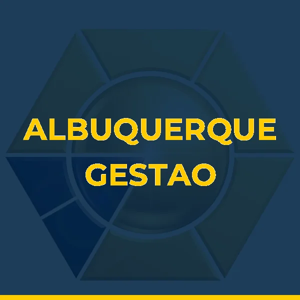 Logo de ALBUQUERQUE GESTAO INTEGRADA LTDA