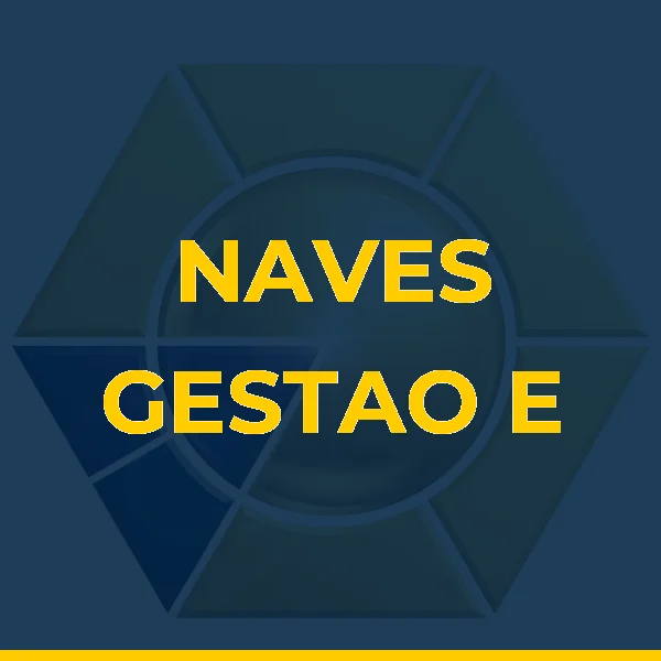 Logo de NAVES GESTAO E SERVICOS LTDA