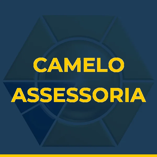 Logo de CAMELO ASSESSORIA LTDA
