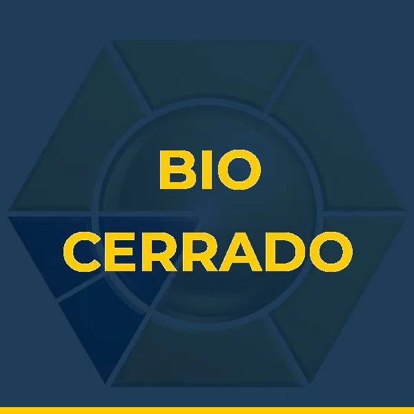 Logo de B A DE JESUS
