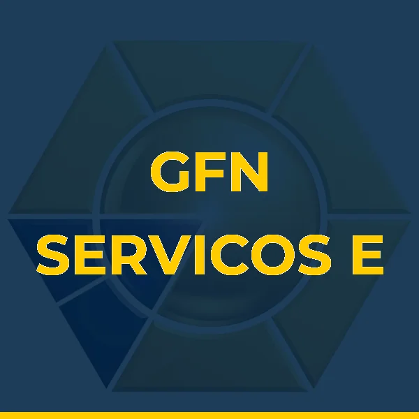 GFN SERVICOS E REPRESENTACAO