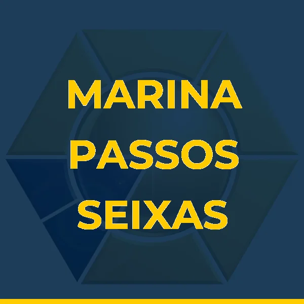 Logo de MARINA PASSOS SEIXAS SERVICOS MEDICOS