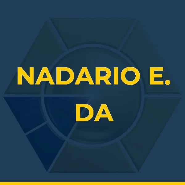 Logo de NADARIO E. DA S. FILHO LTDA