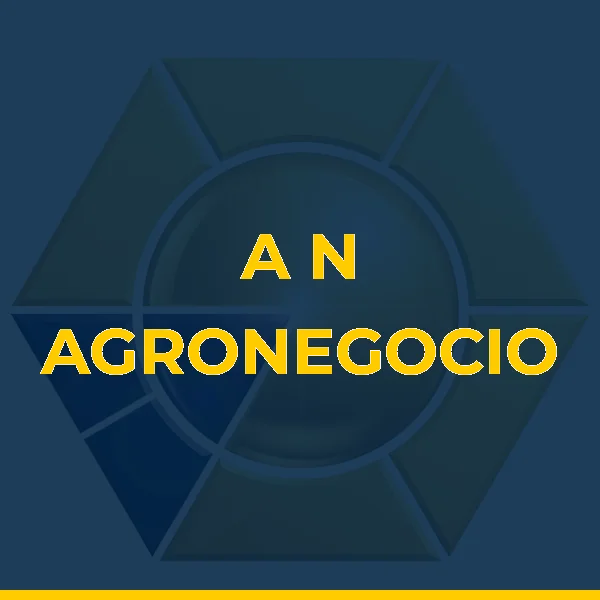 Logo de A N AGRONEGOCIO LTDA