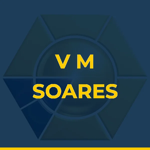 Logo de V M SOARES