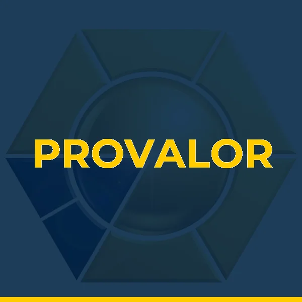 Logo de PROVALOR SERVICOS DE ASSESSORIA E CONSULTORIA EMPRESARIAL LTDA