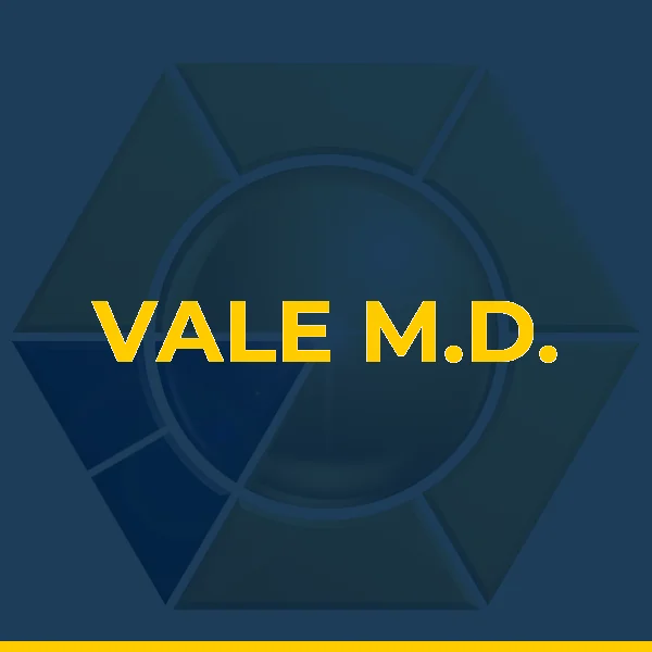 Logo de RAFAEL VIEIRA VALE LTDA