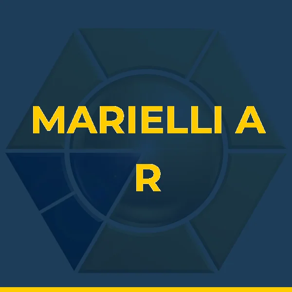 Logo de MARIELLI A R MARTINS