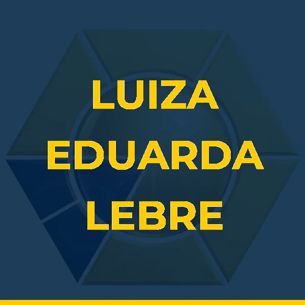 Logo de LUIZA EDUARDA LEBRE GOES LTDA