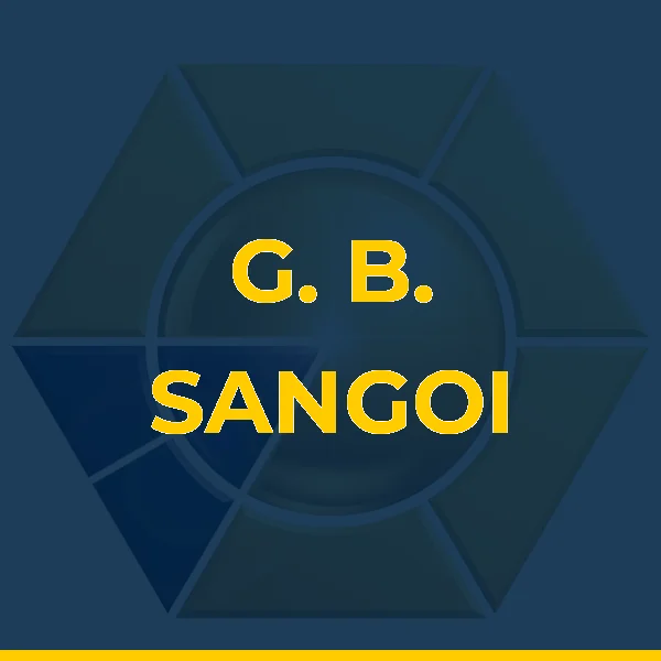 Logo de G. B. SANGOI MEDICINA E SAUDE