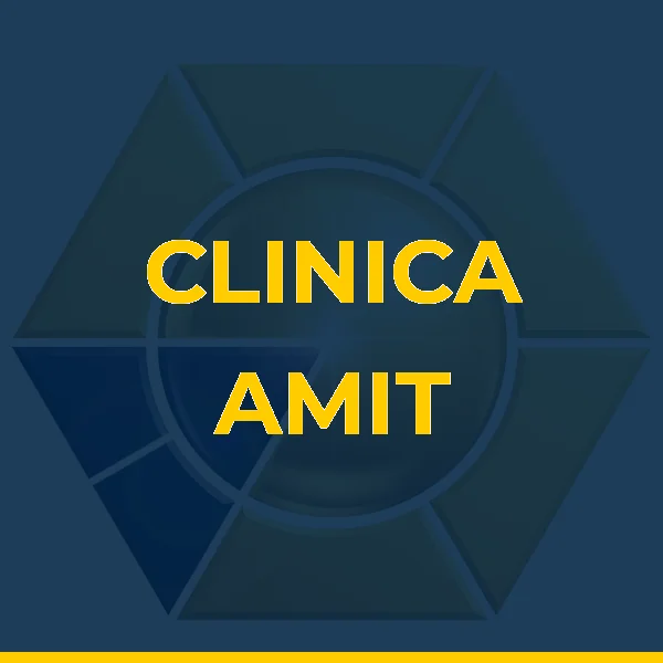Logo de AMIT INSTITUTO DE MEDICINA INTEGRAL E SISTEMICA LTDA