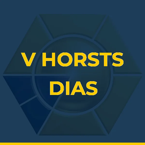 Logo de V HORSTS DIAS  LTDA