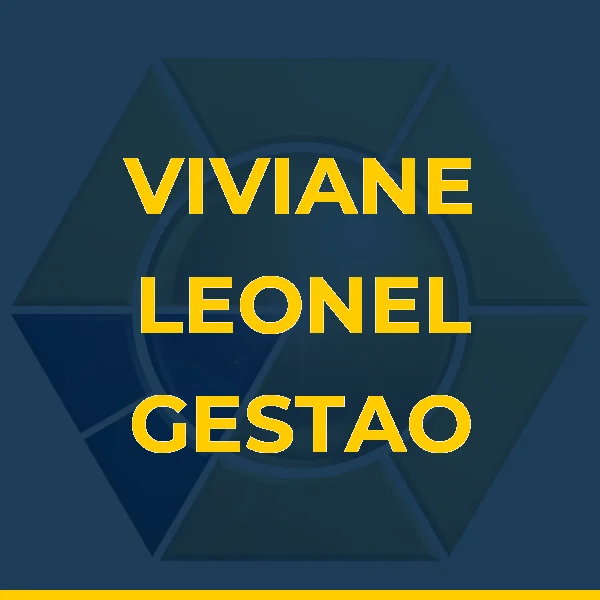 Logo de VIVIANE LEONEL GESTAO DE PESSOAS E DESENVOLVIMENTO ORGANIZACIONAL LTDA
