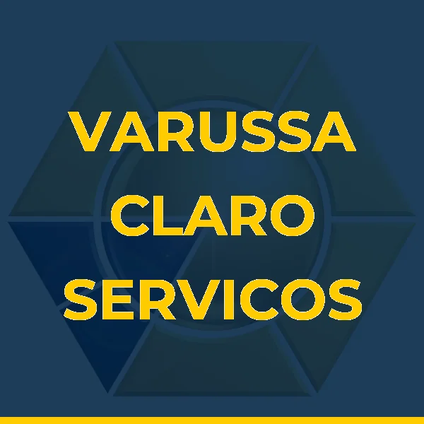 Logo de VARUSSA CLARO SERVICOS MEDICOS LTDA