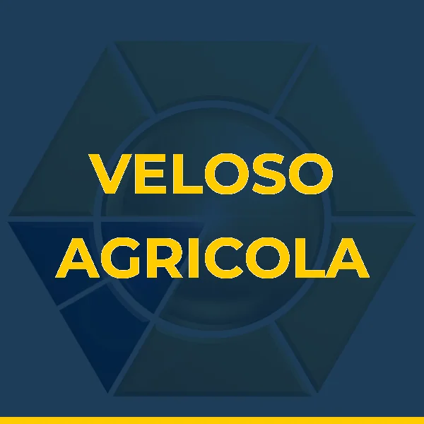 Logo de D A VELOSO SERVICOS AGRICOLAS