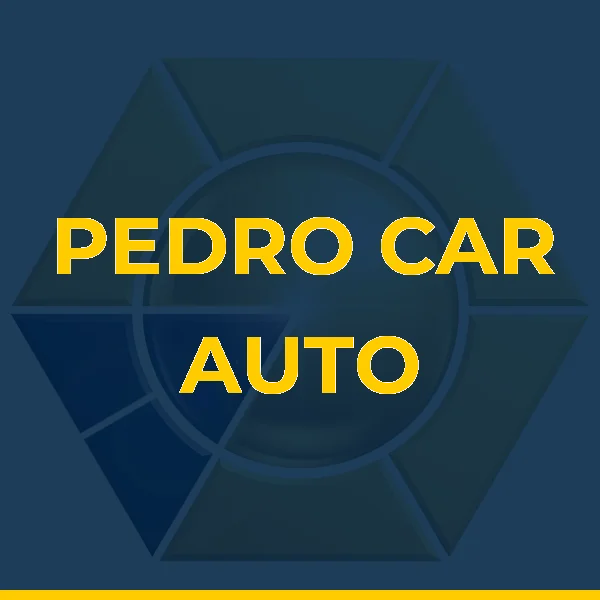 Logo de PEDRO ALBUQUERQUE DA SILVA LTDA