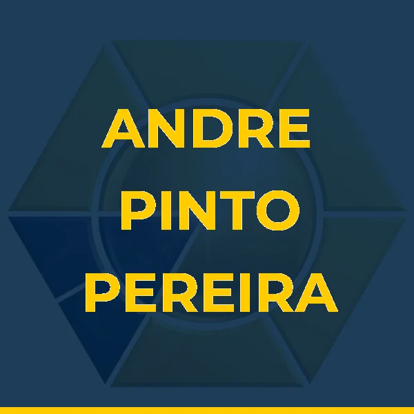 Logo de ANDRE PINTO PEREIRA