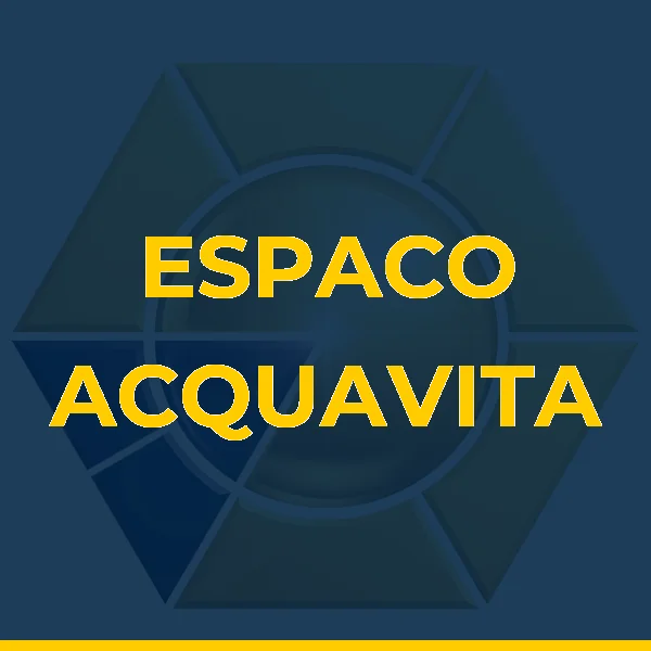 Logo de D C DOS S CARNEIRO
