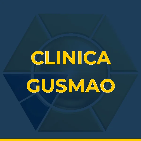 Logo de M V S DE GUSMAO LTDA