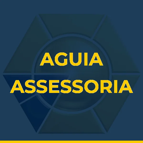 AGUIA ASSESSORIA