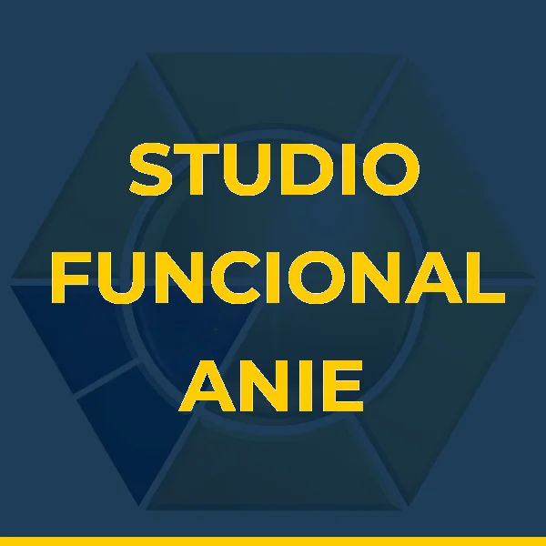 STUDIO FUNCIONAL ANIE ARAUJO LTDA