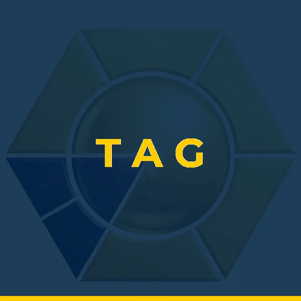 T A G DE SOUSA LTDA