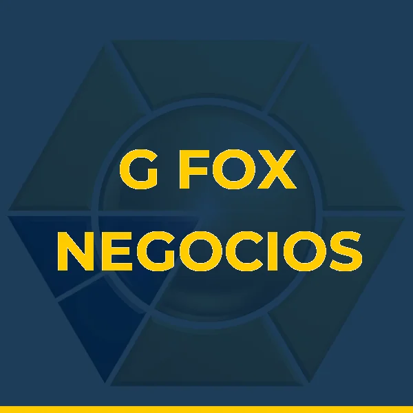 G FOX NEGOCIOS IMOBILIARIOS LTDA