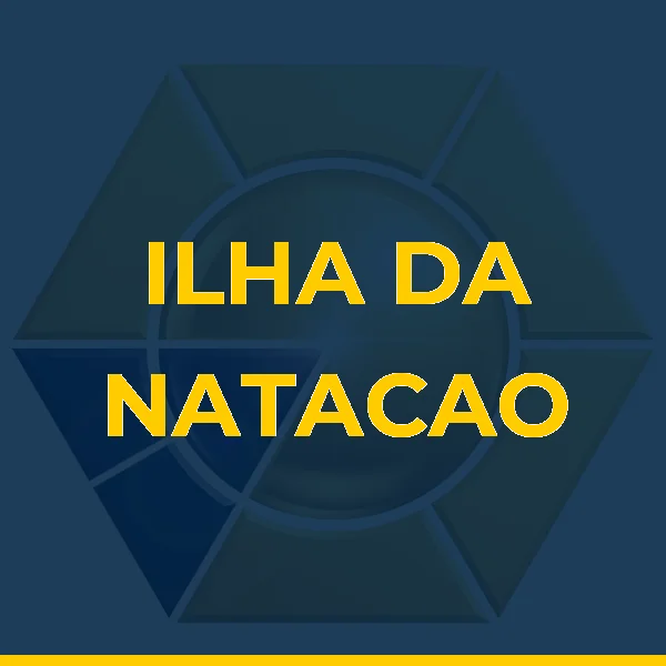 Logo de ILHA DA NATACAO CONDICIONAMENTO FISICO LIMITADA