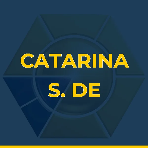 Logo de CATARINA S. DE CASTRO PRADO SERVICOS MEDICOS LTDA