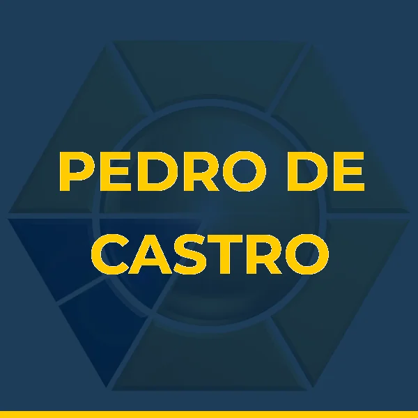 Logo de PEDRO DE CASTRO ROCHA CLINICA MEDICA LTDA