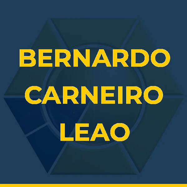 Logo de BERNARDO CARNEIRO LEAO FERREIRA SERVICOS MEDICOS