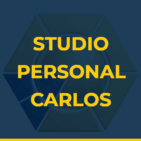 Logo de PRISCILA MARTINS DE ALMEIDA LTDA