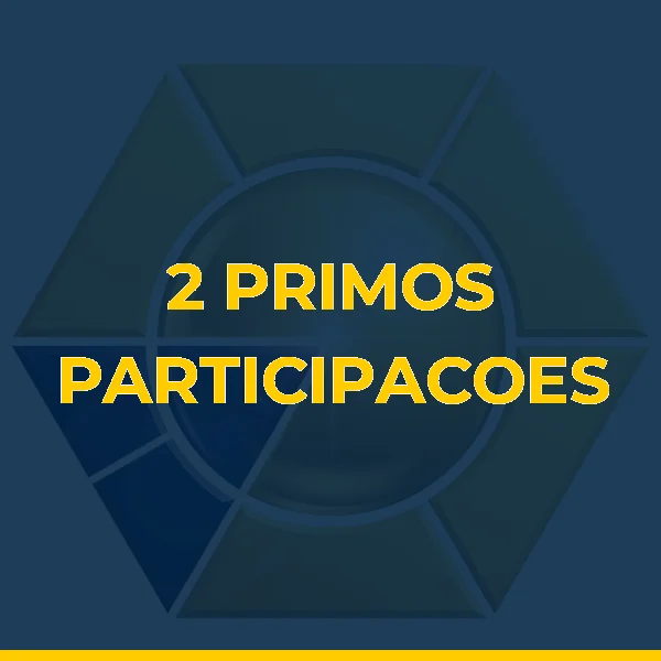 Logo de 2 PRIMOS PARTICIPACOES LTDA