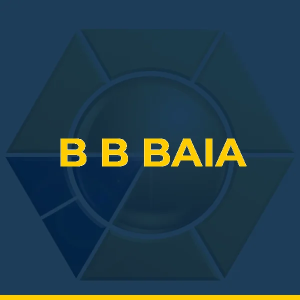 Logo de B B BAIA